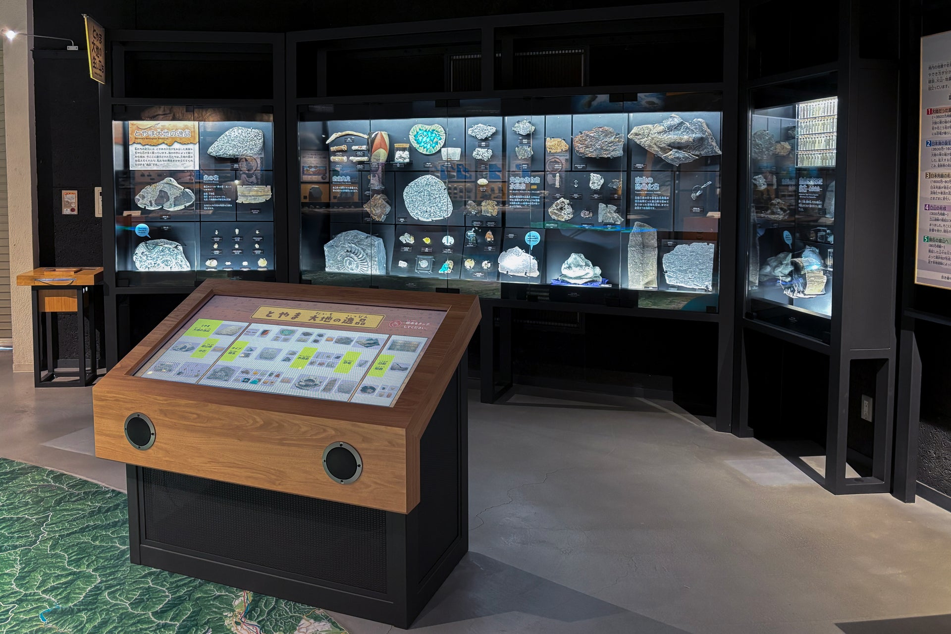 富山市科学博物館4